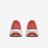 Nike Pegasus 41 By