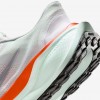 Nike Pegasus EasyOn