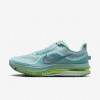 Nike Pegasus Premium