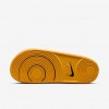 Nike College Offcourt (Michigan)