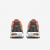 Nike Air Max Plus By