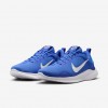 Nike Flex Experience Run 12
