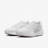 Nike Pegasus 41 GORE-TEX