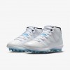 Jordan 11 Mid TD