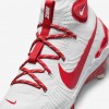 Nike Alpha Huarache NXT