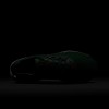 Nike Pegasus Trail 5 GORE-TEX