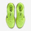 Nike Pegasus Premium