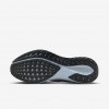 Nike Pegasus EasyOn
