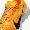 Nike Pegasus Plus LV8