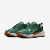 Nike Juniper Trail 2 GORE-TEX