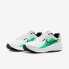 Nike Downshifter 13