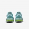 Nike Pegasus Premium