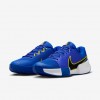 Nike GP Challenge Pro