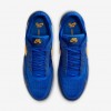 Nike SB PS8