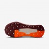Nike Wildhorse 10