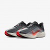 Nike Pegasus Plus