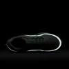 Nike Pegasus Premium