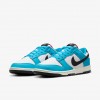 Nike Dunk Low N7