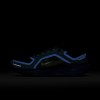 Nike Pegasus 41 GORE-TEX