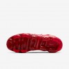 Nike Air VaporMax Plus
