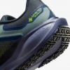 Nike Pegasus 41 GORE-TEX