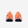 Nike Pegasus Trail 5