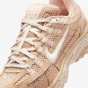 Nike P-6000 Premium