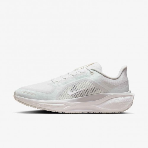 Nike Pegasus 41 GORE-TEX