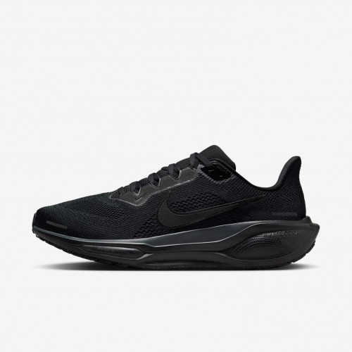 Nike Pegasus 41