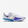 Nike Zoom Rival Fly 4