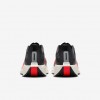 Nike Pegasus Plus
