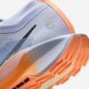 Nike Pegasus Trail 5 GORE-TEX