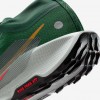 Nike Pegasus Trail 5 GORE-TEX
