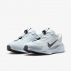 Nike Pegasus EasyOn