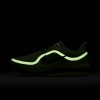 Nike Pegasus Premium