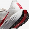 Nike Pegasus Plus