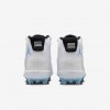 Jordan 11 Mid TD