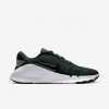 Nike Flex Train