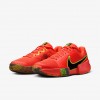 Nike Zoom Challenge
