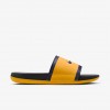 Nike College Offcourt (Michigan)
