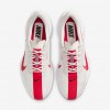 Nike Pegasus Plus