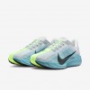 Nike Pegasus Plus
