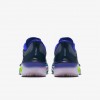 Nike Zoom Fly 6