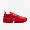 Nike Air VaporMax Plus