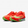 Nike Zoom Fly 6