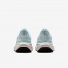 Nike Pegasus 41