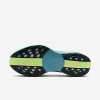 Nike Pegasus Plus
