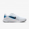 Nike Flex Train