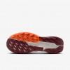 Nike Pegasus Trail 5