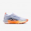 Nike Pegasus Trail 5 GORE-TEX